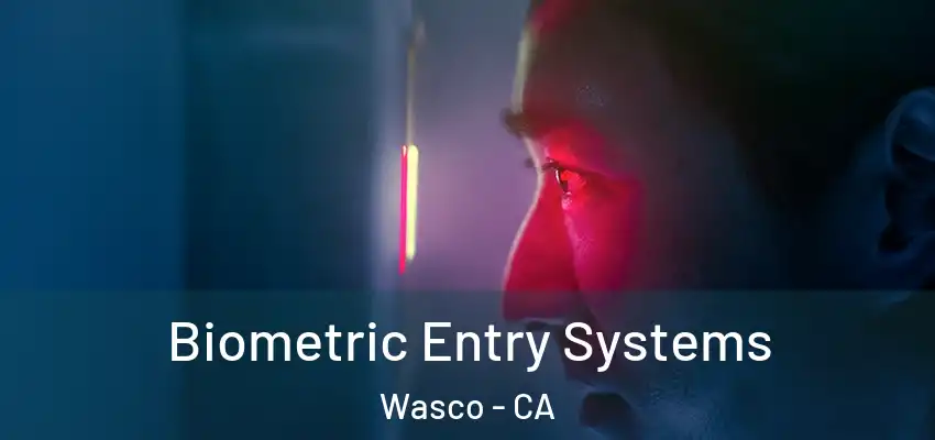  Biometric Entry Systems Wasco - CA